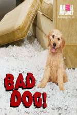 Watch Bad Dog! 123MoviesFree