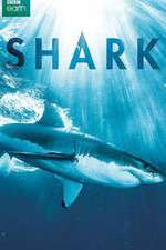 Watch Shark 123MoviesFree