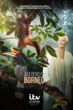 Watch Judi Dench\'s Wild Borneo Adventure 123MoviesFree
