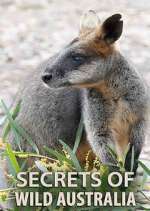 Watch Secrets of Wild Australia 123MoviesFree