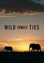 Watch Wild Family Ties 123MoviesFree