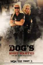 Watch Dog\'s Most Wanted 123MoviesFree