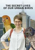 Watch The Secret Lives of Our Urban Birds 123MoviesFree
