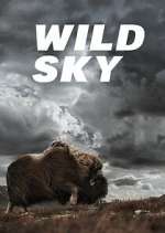 Watch Wild Sky 123MoviesFree