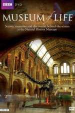 Watch BBC Museum of Life 123MoviesFree