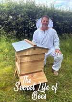 Watch The Secret Life of Bees 123MoviesFree
