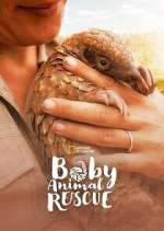 Watch Baby Animal Rescue 123MoviesFree