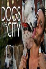 Watch Dogs in the City 123MoviesFree