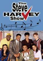 Watch The Steve Harvey Show 123MoviesFree