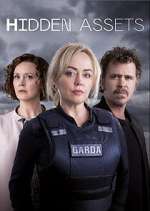 Watch Hidden Assets 123MoviesFree