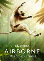 Watch Airborne 123MoviesFree