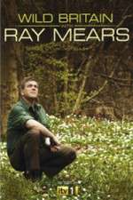 Watch Wild Britain with Ray Mears 123MoviesFree