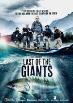 Watch Last of the Giants: Wild Fish 123MoviesFree
