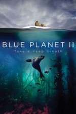 Watch Blue Planet II 123MoviesFree
