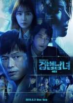 Watch Investigation Couple 123MoviesFree