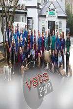 Watch Vets 24/7 123MoviesFree