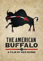 Watch The American Buffalo 123MoviesFree