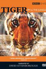 Watch Tiger: Spy in the Jungle 123MoviesFree
