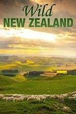 Watch Wild New Zealand 123MoviesFree